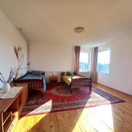 Casa Zora Διαμέρισμα Άλμπα Ιούλια Εξωτερικό φωτογραφία