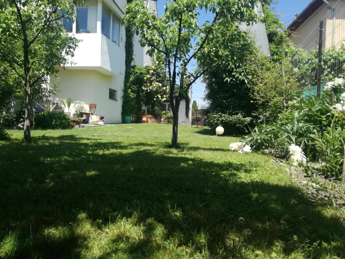 Casa Zora Διαμέρισμα Άλμπα Ιούλια Εξωτερικό φωτογραφία