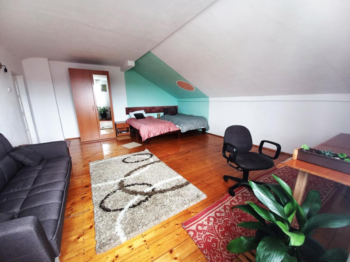 Casa Zora Διαμέρισμα Άλμπα Ιούλια Εξωτερικό φωτογραφία