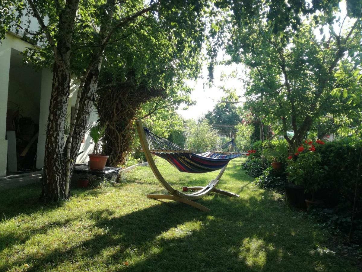 Casa Zora Διαμέρισμα Άλμπα Ιούλια Εξωτερικό φωτογραφία