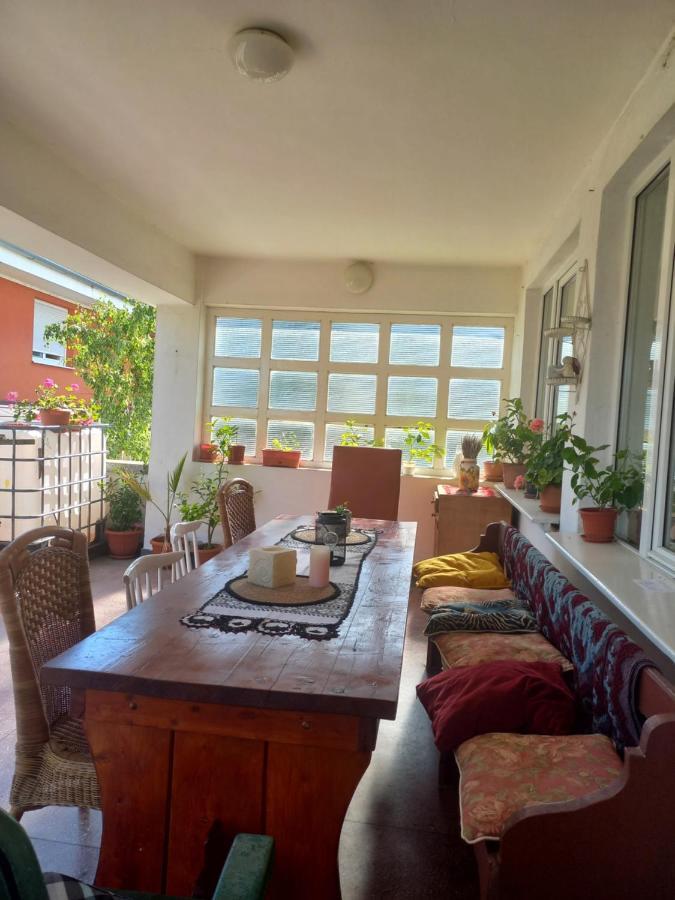 Casa Zora Διαμέρισμα Άλμπα Ιούλια Εξωτερικό φωτογραφία