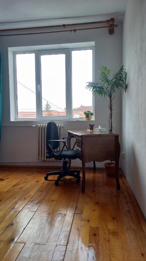 Casa Zora Διαμέρισμα Άλμπα Ιούλια Εξωτερικό φωτογραφία
