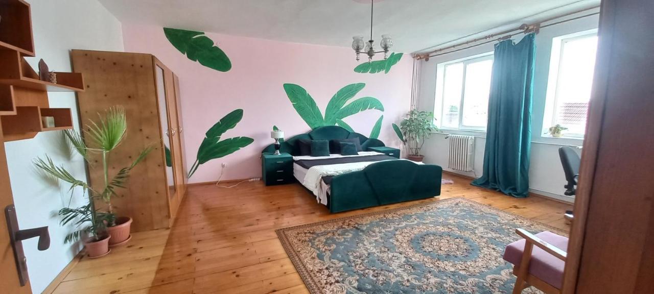 Casa Zora Διαμέρισμα Άλμπα Ιούλια Εξωτερικό φωτογραφία
