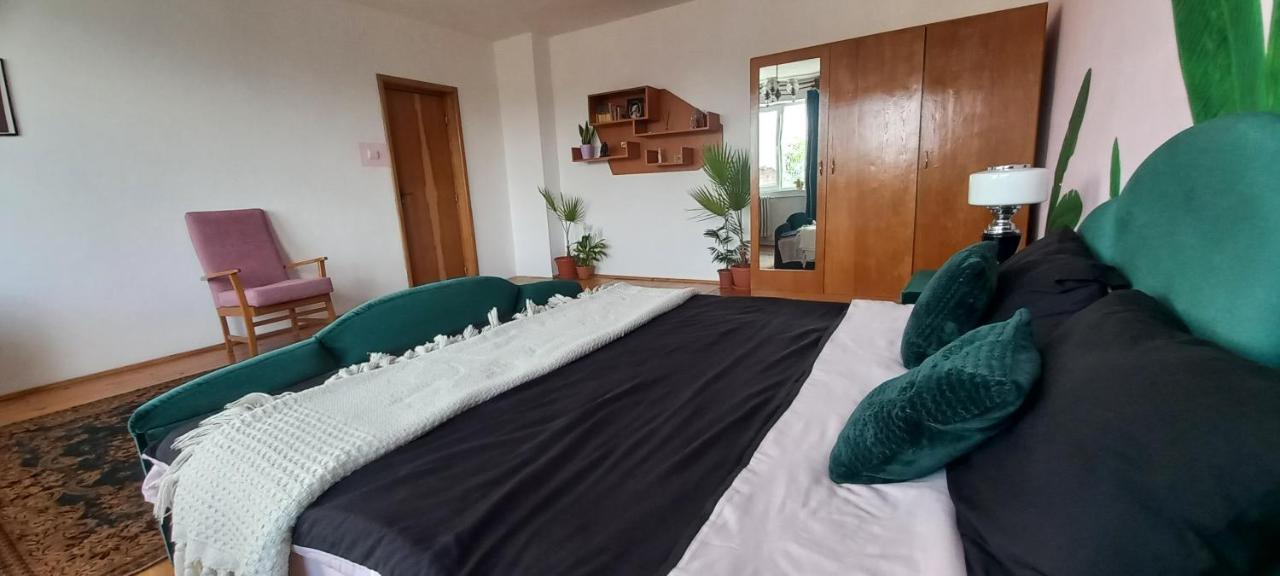 Casa Zora Διαμέρισμα Άλμπα Ιούλια Εξωτερικό φωτογραφία