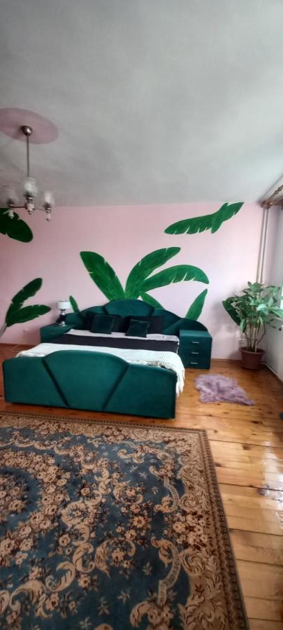Casa Zora Διαμέρισμα Άλμπα Ιούλια Δωμάτιο φωτογραφία